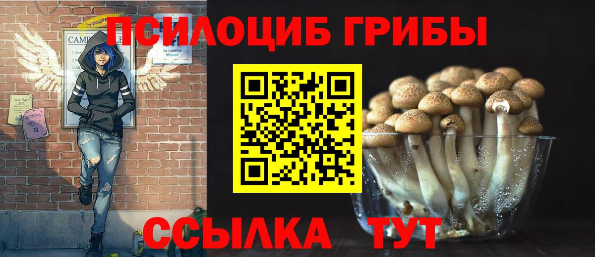 Псилоцибиновые грибы Magic Shrooms Ахтубинск